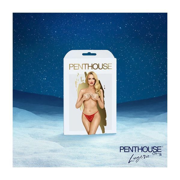Адвент календар Satisfyer Premium Erotic Advent Calendar 2025 ON0548 фото