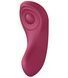 Набір Satisfyer Partner Box 1 (вібратор для пар Double Joy + вібратор у трусики Sexy Secret) ON0168 фото 7